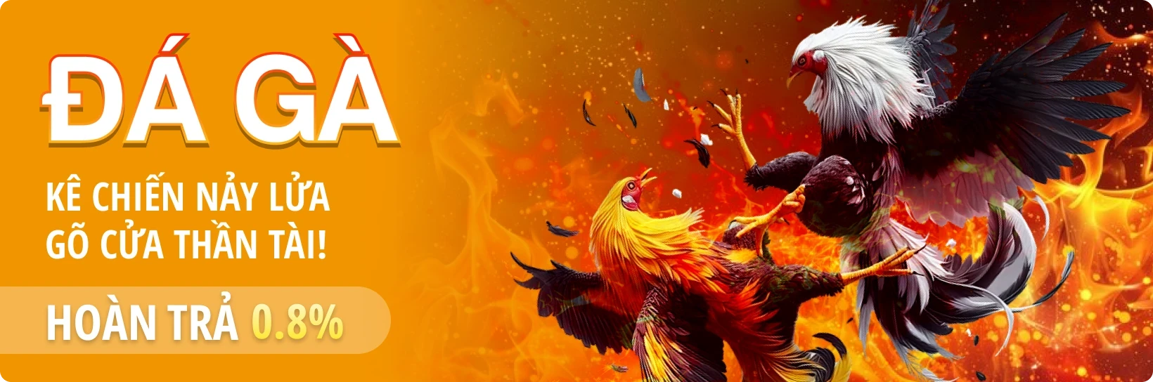 11BET Cược Đá Gà Mỗi Ngày, Nhận Hoàn Trả 0.8% Không Giới Hạn Tại 11BET